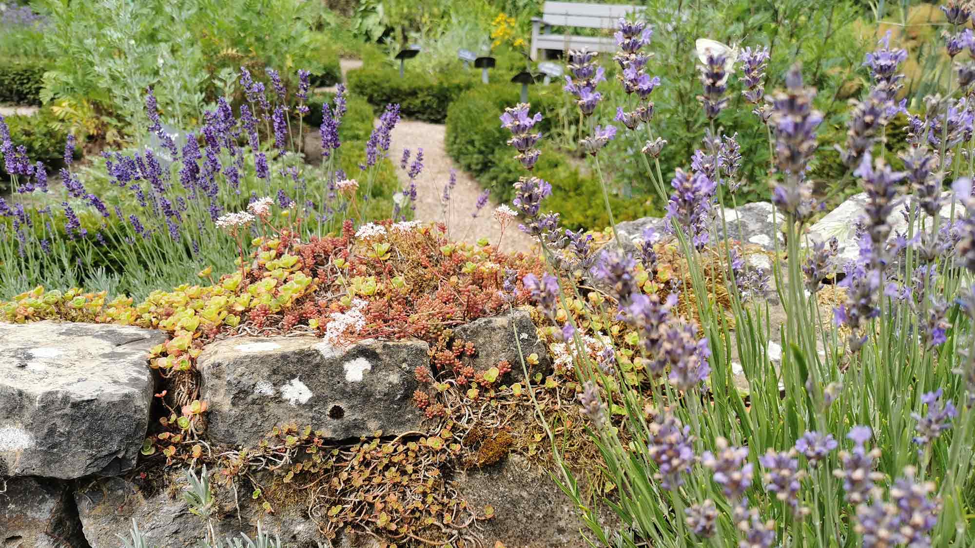 Lemgo, Kreis Lippe und Rolfscher Hof: Biodiversität fängt im Garten an, Vorträge und Workshops starten bald Lemgo, Kreis Lippe und Rolfscher Hof: Biodiversität fängt im Garten an, Vorträge und Workshops starten bald