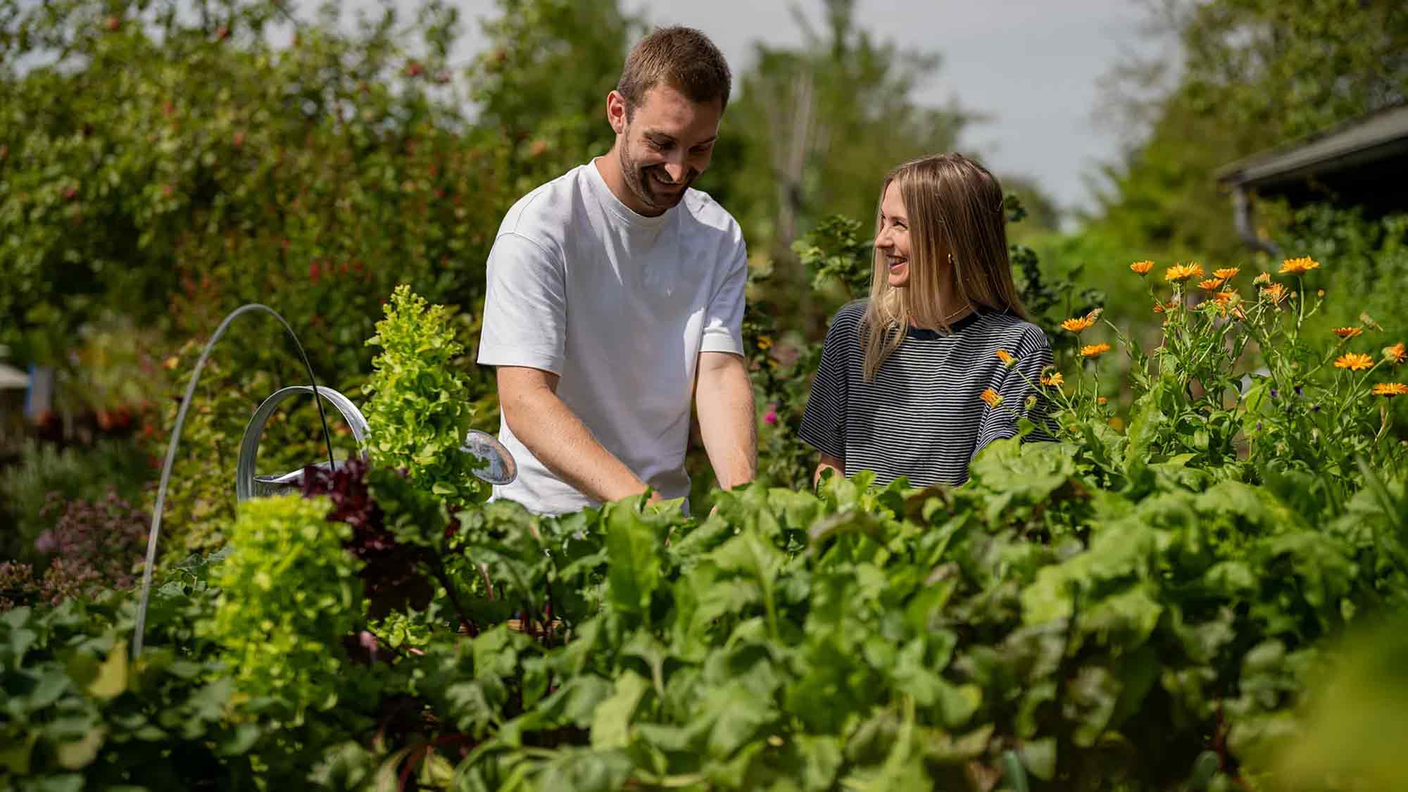 Gemüseanzucht gelingt im Hochbeet besonders gut – 6 Floragard Tipps für Selbstversorger Gemüseanzucht gelingt im Hochbeet besonders gut – 6 Floragard Tipps für Selbstversorger