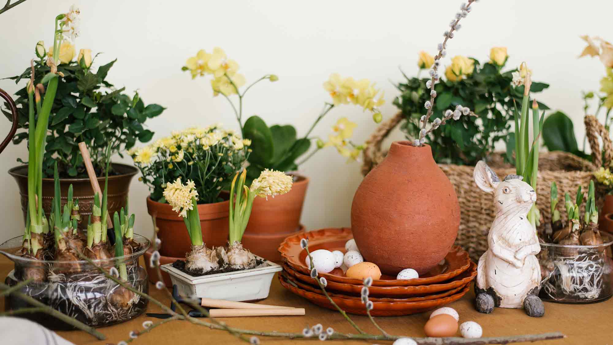 Verbraucherzentrale Nordrhein Westfalen: Ostern kreativ und nachhaltig