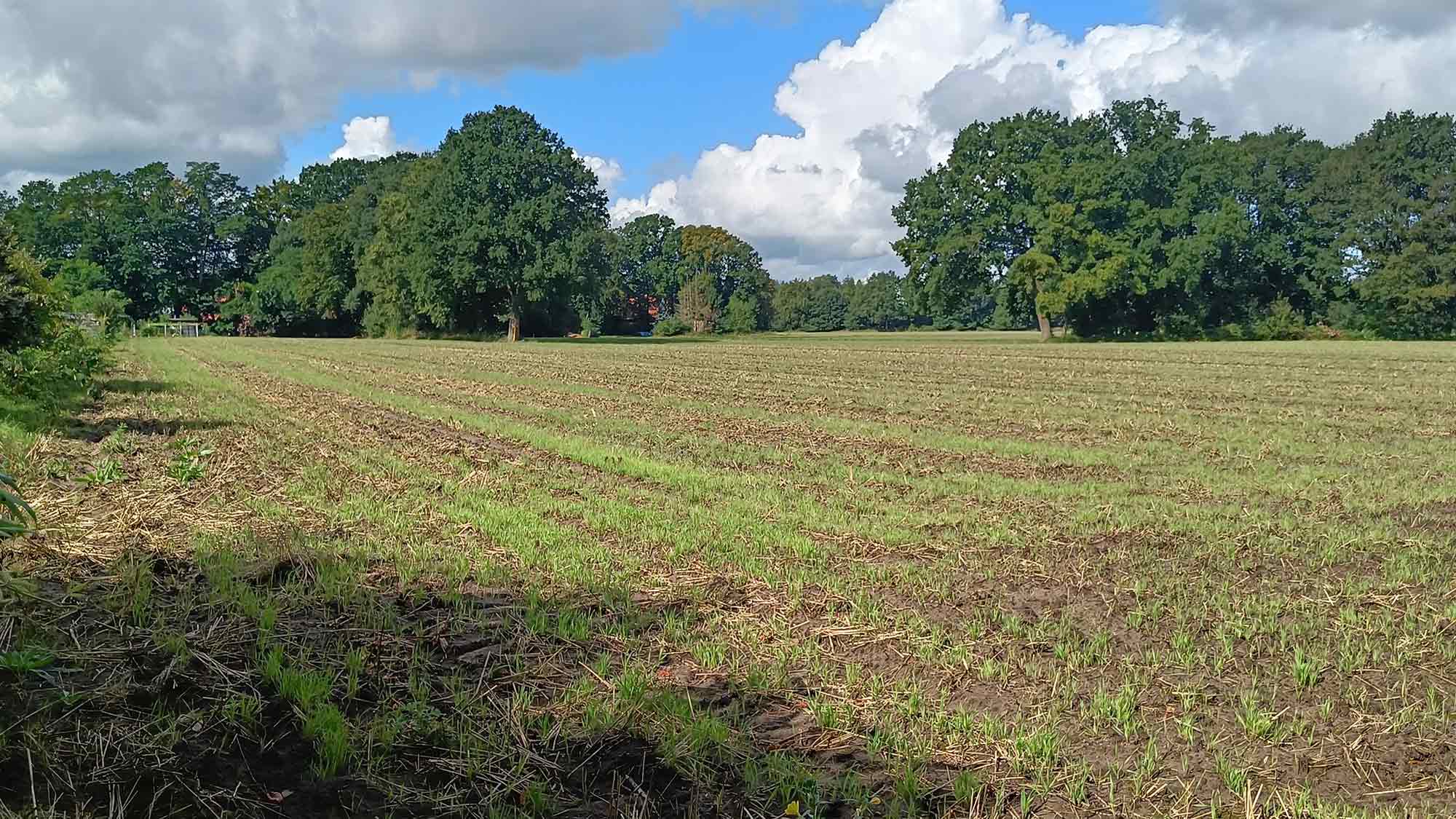 Gütersloh: Stadtverwaltung sucht landwirtschaftliche Flächen für nachhaltige Projekte