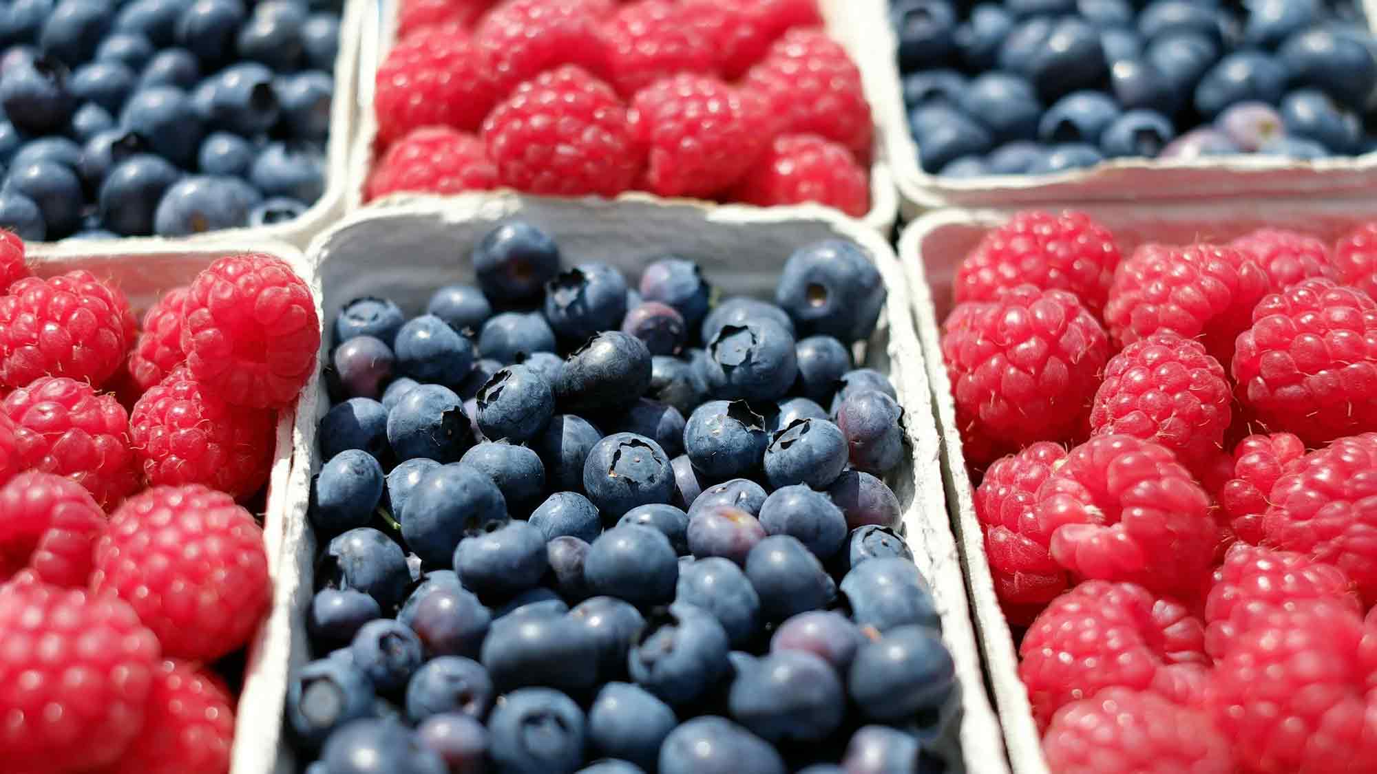 Him und Heidel, Brom, Erd, Stachel, Johannis und sonstige Beeren – frischer Genuss aus Gütersloh und Umgebung Him und Heidel, Brom, Erd, Stachel, Johannis und sonstige Beeren – frischer Genuss aus Gütersloh und Umgebung