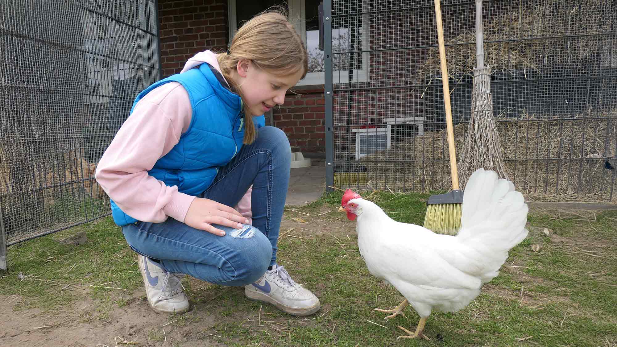 Esel sind keine kleinen Pferde! Ferienspiele bei &raquo;Achtung für Tiere&laquo; in Varensell