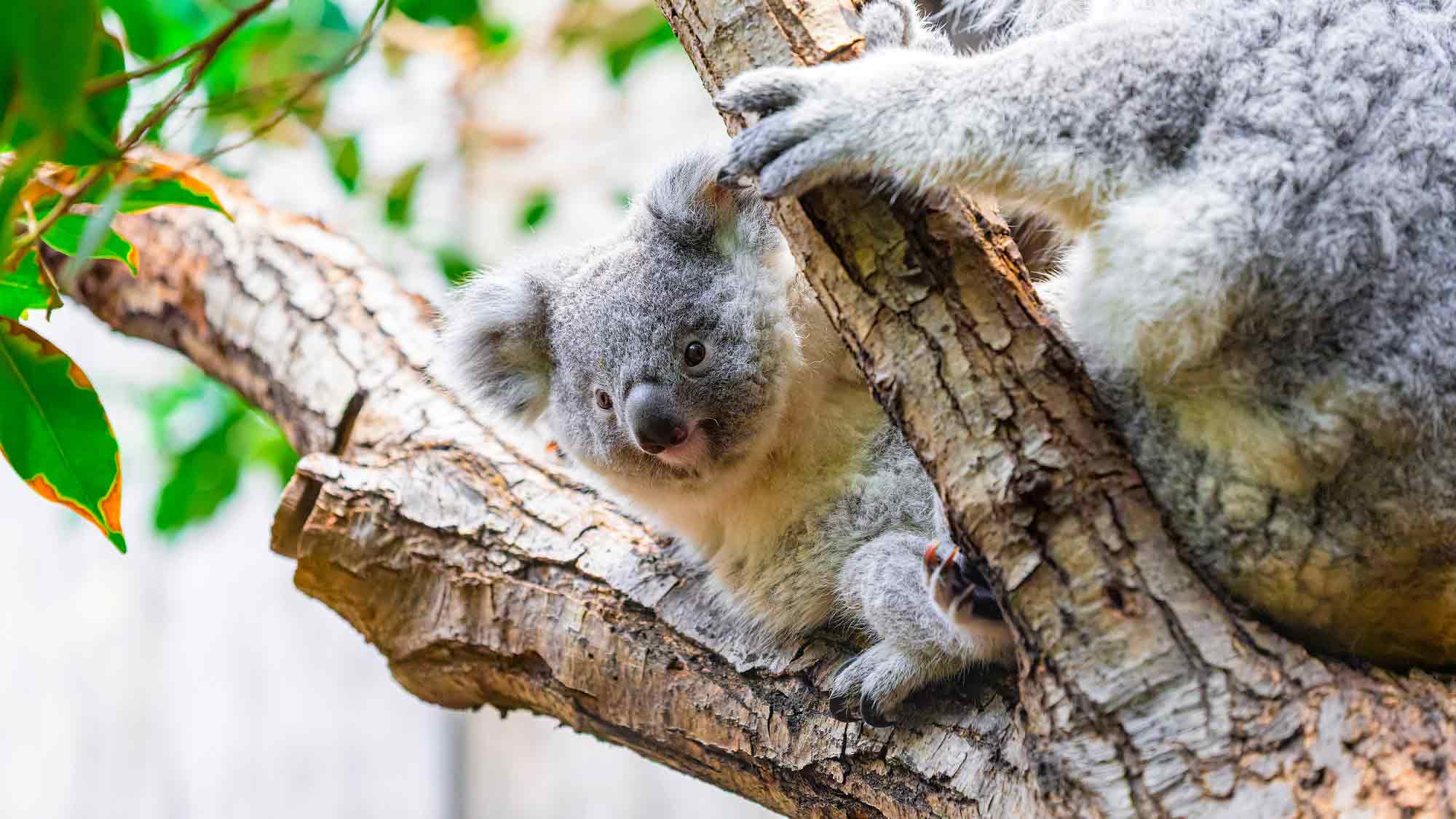 Zoo Duisburg: Besondere Themenführungen im Mai 2025, Juni 2025 und Juli 2025