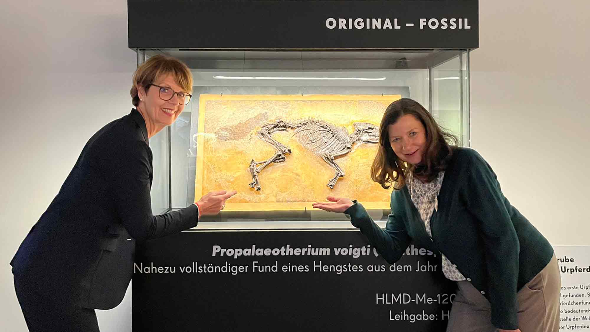 Urpferd 2.0 – die Tierwelt vor 50 Millionen Jahren im Westfälischen Pferdemuseum Münster, 29. Mai bis 28. September 2025