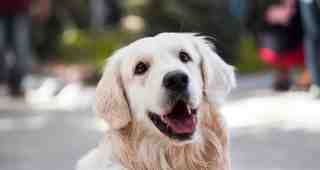 The NOW of Gütersloh