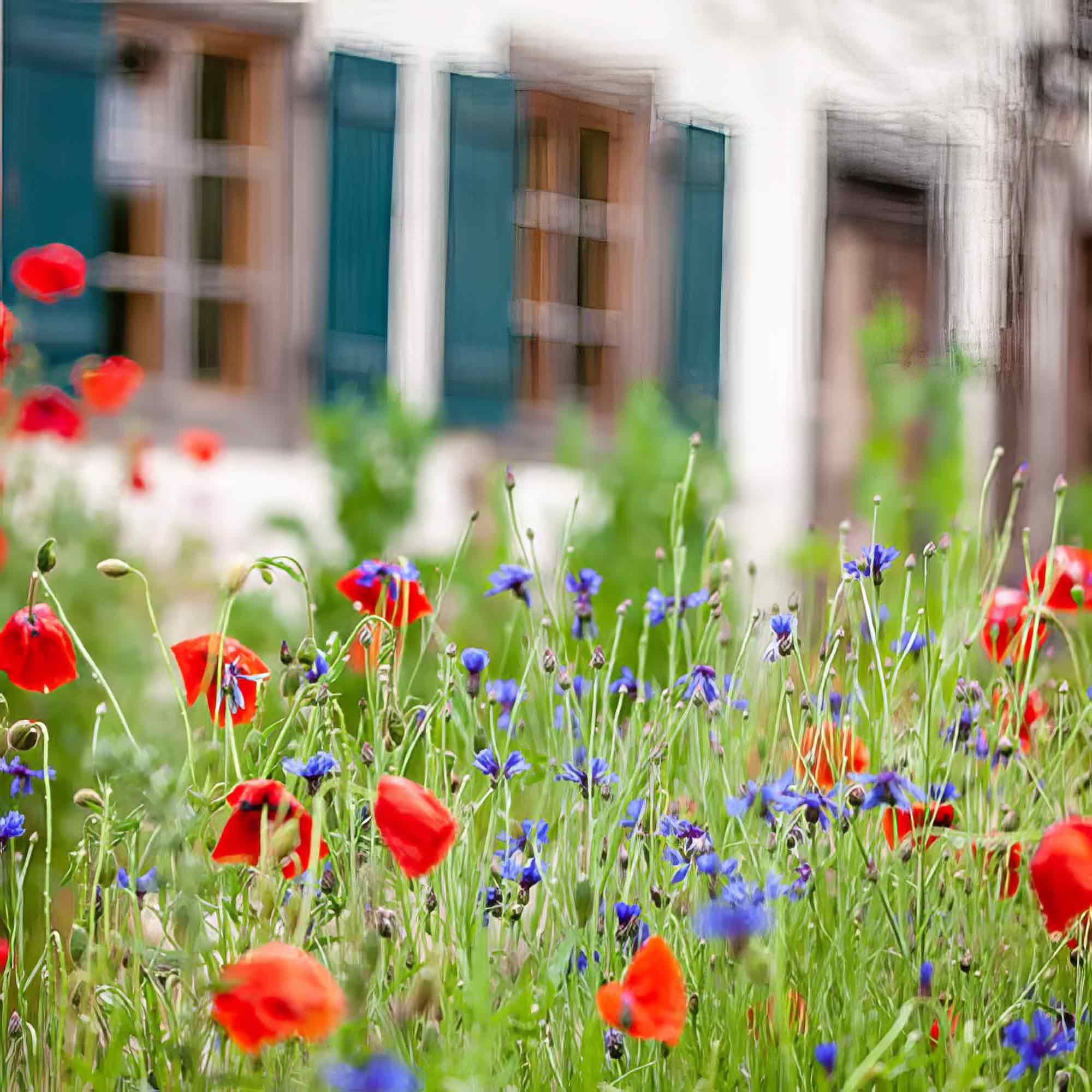 Gütersloh: Mehr Artenvielfalt im Garten – Broschüre &raquo;Gartenreich – das Einsteigerpaket&laquo; jetzt online verfügbar