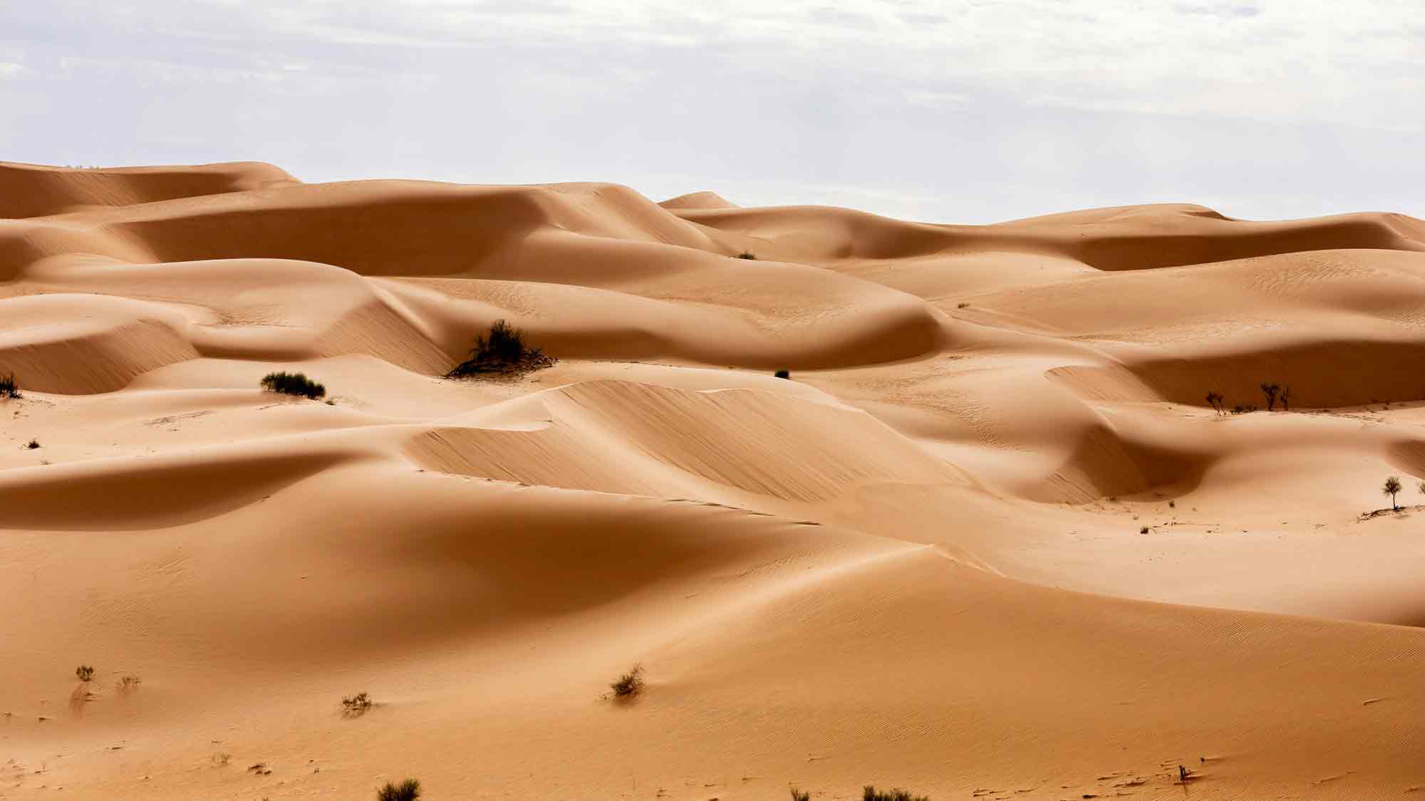 Ein interessanter Bericht über das Thema »Grüner Wasserstoff in Algerien« im »Weltspiegel«, Strom Cloud Ein interessanter Bericht über das Thema »Grüner Wasserstoff in Algerien« im »Weltspiegel«, Strom Cloud