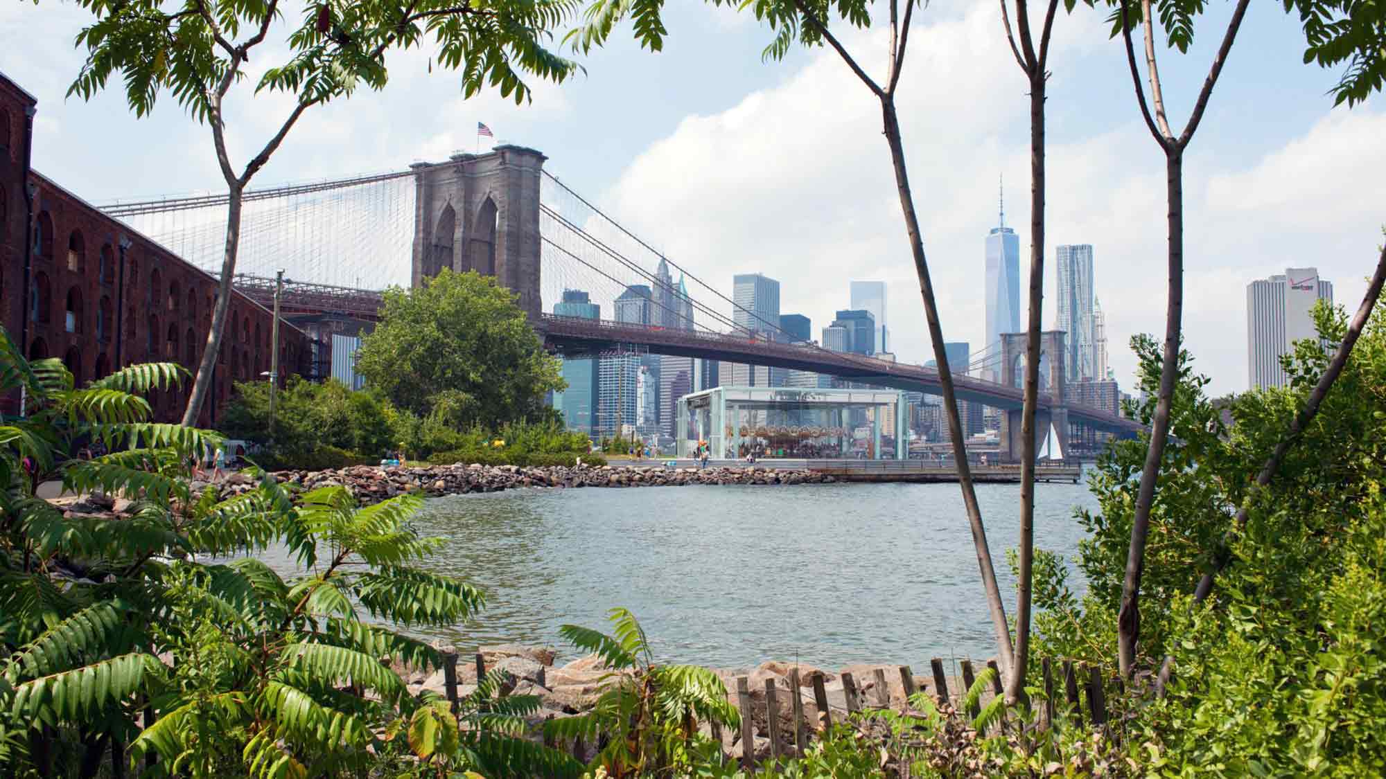 Nature in the City – 10 grüne Rückzugsorte in New York City Nature in the City – 10 grüne Rückzugsorte in New York City