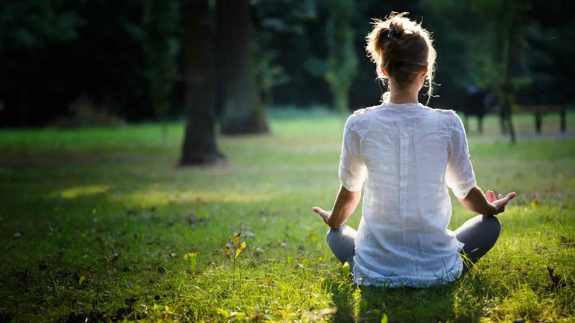 Natur wirkt – und wie! Warum Natur Stressmanagement eine der wirksamsten Formen der Gesundheitsvorsorge ist