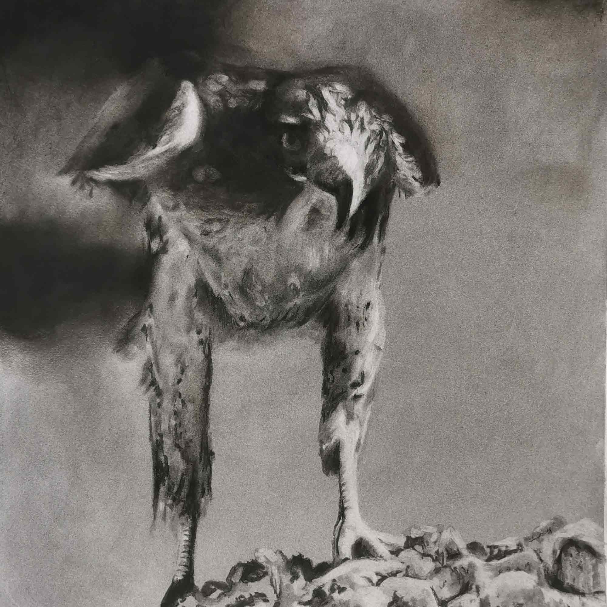 Bürgerwache Bielefeld: Ausstellung Theora Krummel, »Heimat, heile Welt!?« 12. September bis 15. Oktober 2025 Bürgerwache Bielefeld: Ausstellung Theora Krummel, »Heimat, heile Welt!?« 12. September bis 15. Oktober 2025