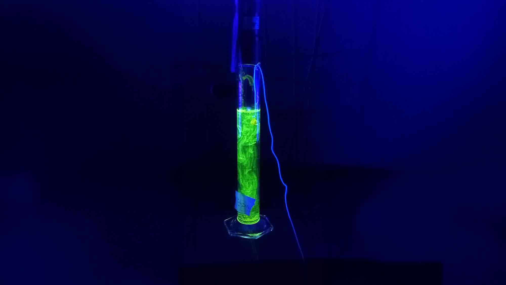 &raquo;(Un)Sichtbar – Offener Kreativtag, &raquo;Wissenswerkstadt&laquo; und Kunsthalle Bielefeld laden zu Experimenten mit Licht und Farbe ein, 24. Januar 2026