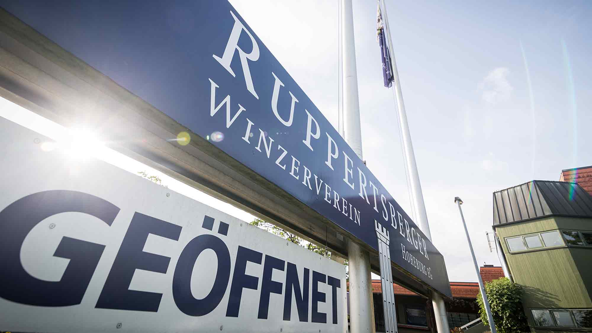 Ruppertsberger Weinkeller Hoheburg: strategische Weitsicht in der Weinabsatzkrise Ruppertsberger Weinkeller Hoheburg: strategische Weitsicht in der Weinabsatzkrise