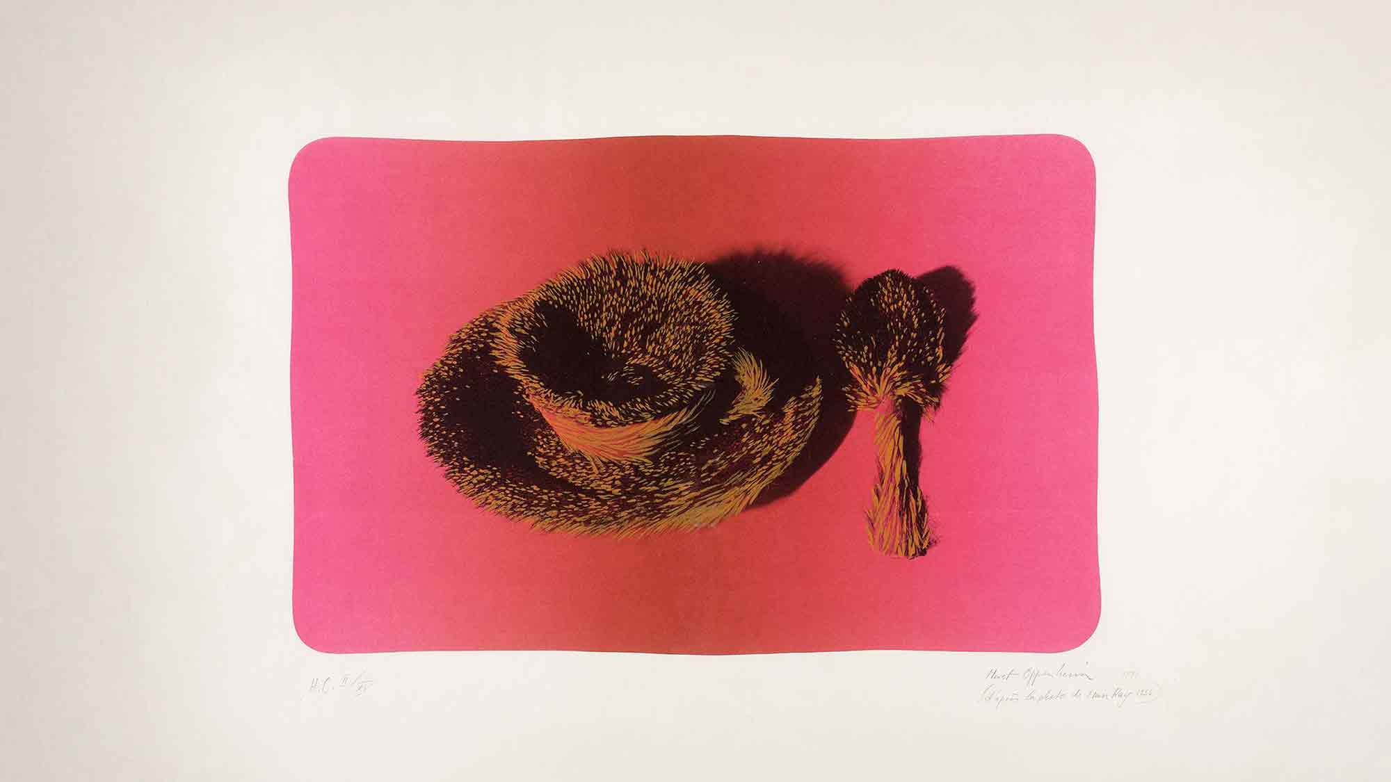 Stiftung Ahlers Pro Arte, Ausstellung &raquo;Einhornhexe – Meret Oppenheim & Freunde&laquo;, 21. März bis 26. Juli 2026