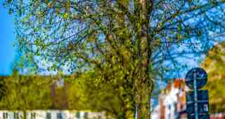 The NOW of Gütersloh