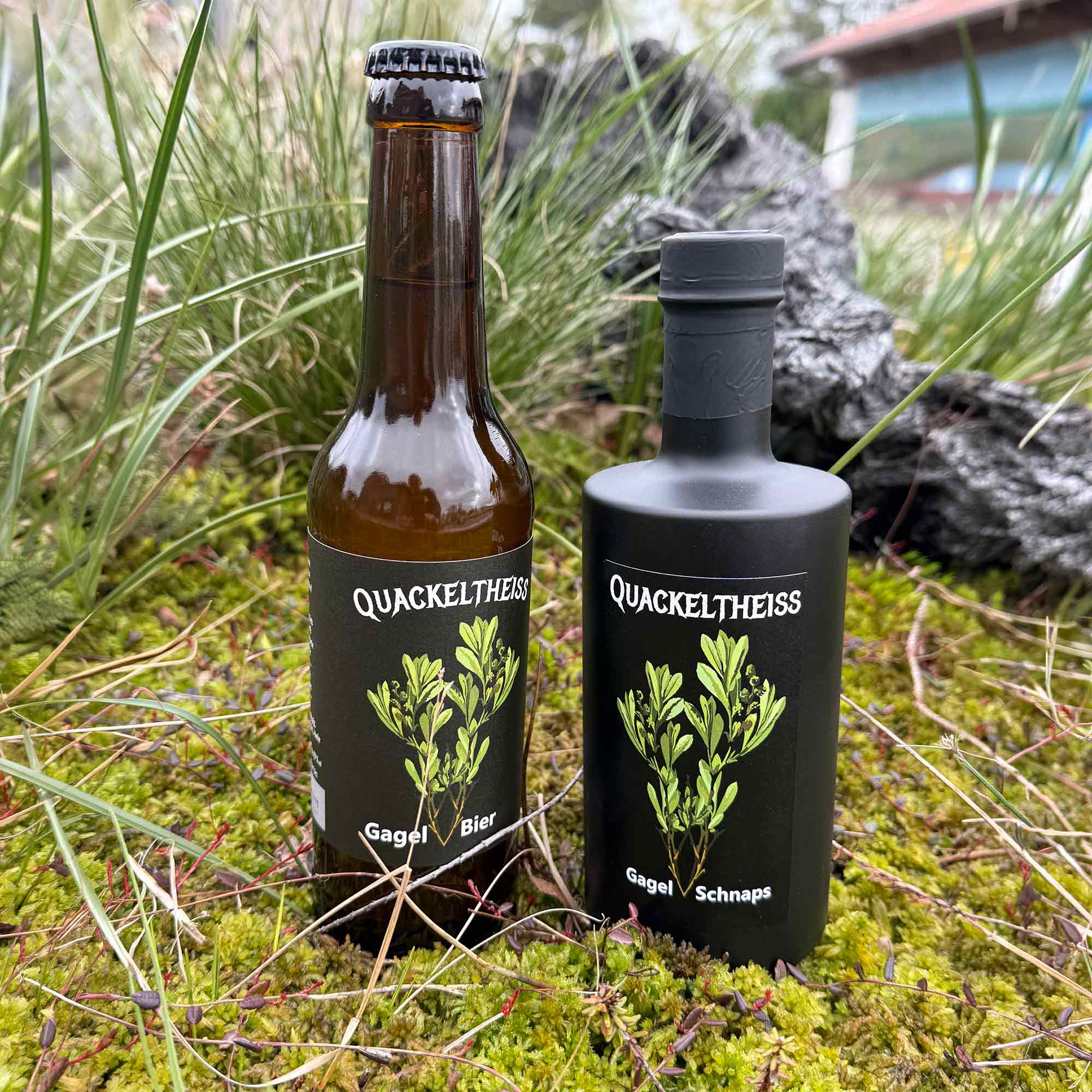 Land Hadeln, Ahlenmoor, Cuxland: Wieder da – seltenes Gagelbier aus dem Ahlenmoor feiert Comeback Land Hadeln, Ahlenmoor, Cuxland: Wieder da – seltenes Gagelbier aus dem Ahlenmoor feiert Comeback