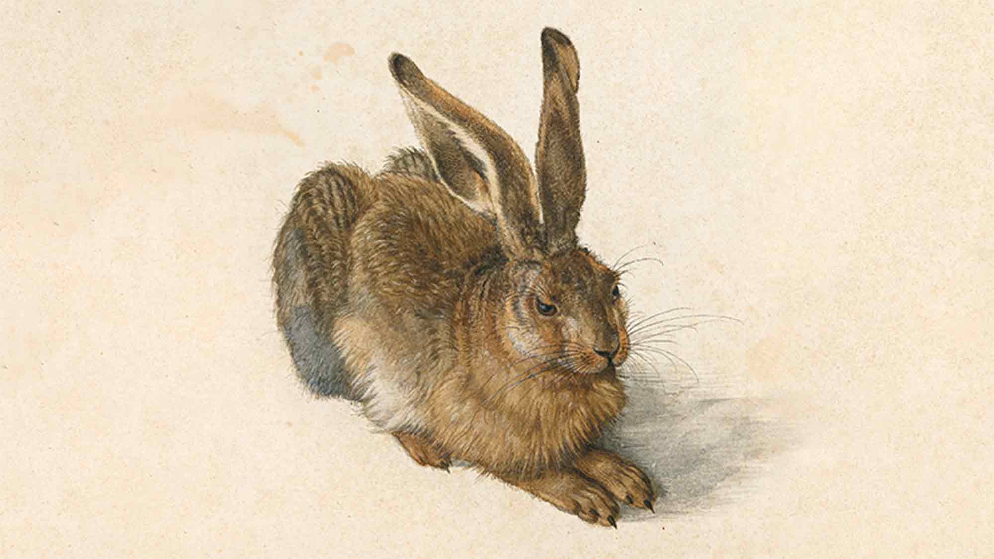250 Jahre Albertina Wien – eine Sammlung zwischen Aufklärung und Zukunft 19. Juni bis 11. Oktober 2026 250 Jahre Albertina Wien – eine Sammlung zwischen Aufklärung und Zukunft 19. Juni bis 11. Oktober 2026