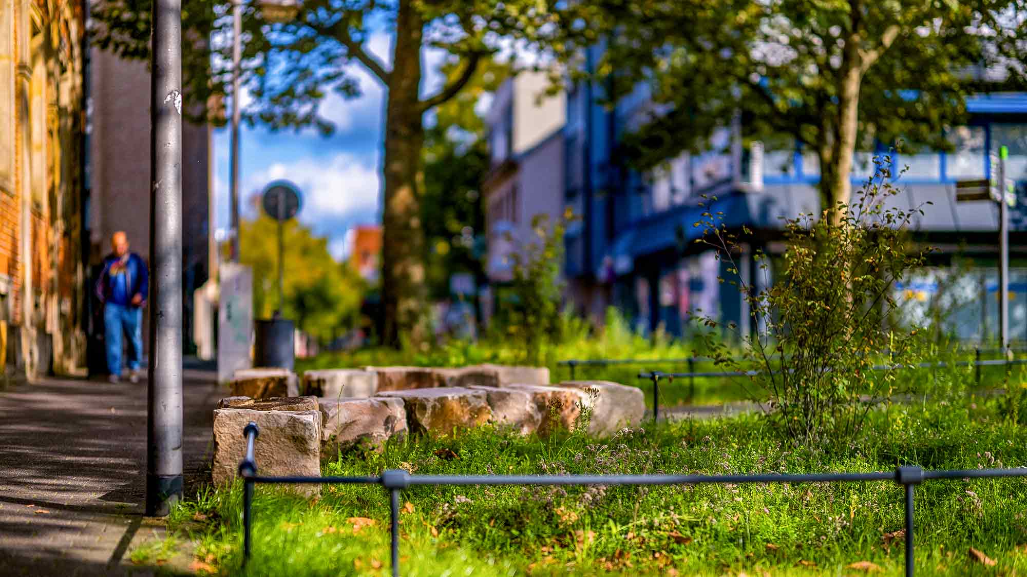 NOW Commons: entsiegelter Stohlmannplatz Gütersloh, Wildwiese NOW Commons: entsiegelter Stohlmannplatz Gütersloh, Wildwiese