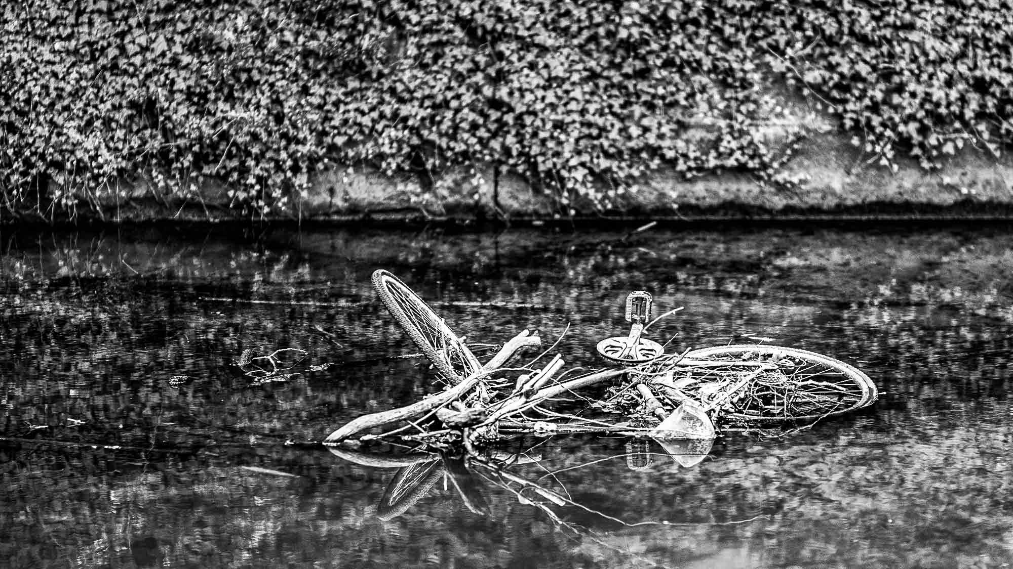 NOW Commons: »Radrennen (nicht) über Wasser«, Fahrrad in der Dalke, Gütersloh