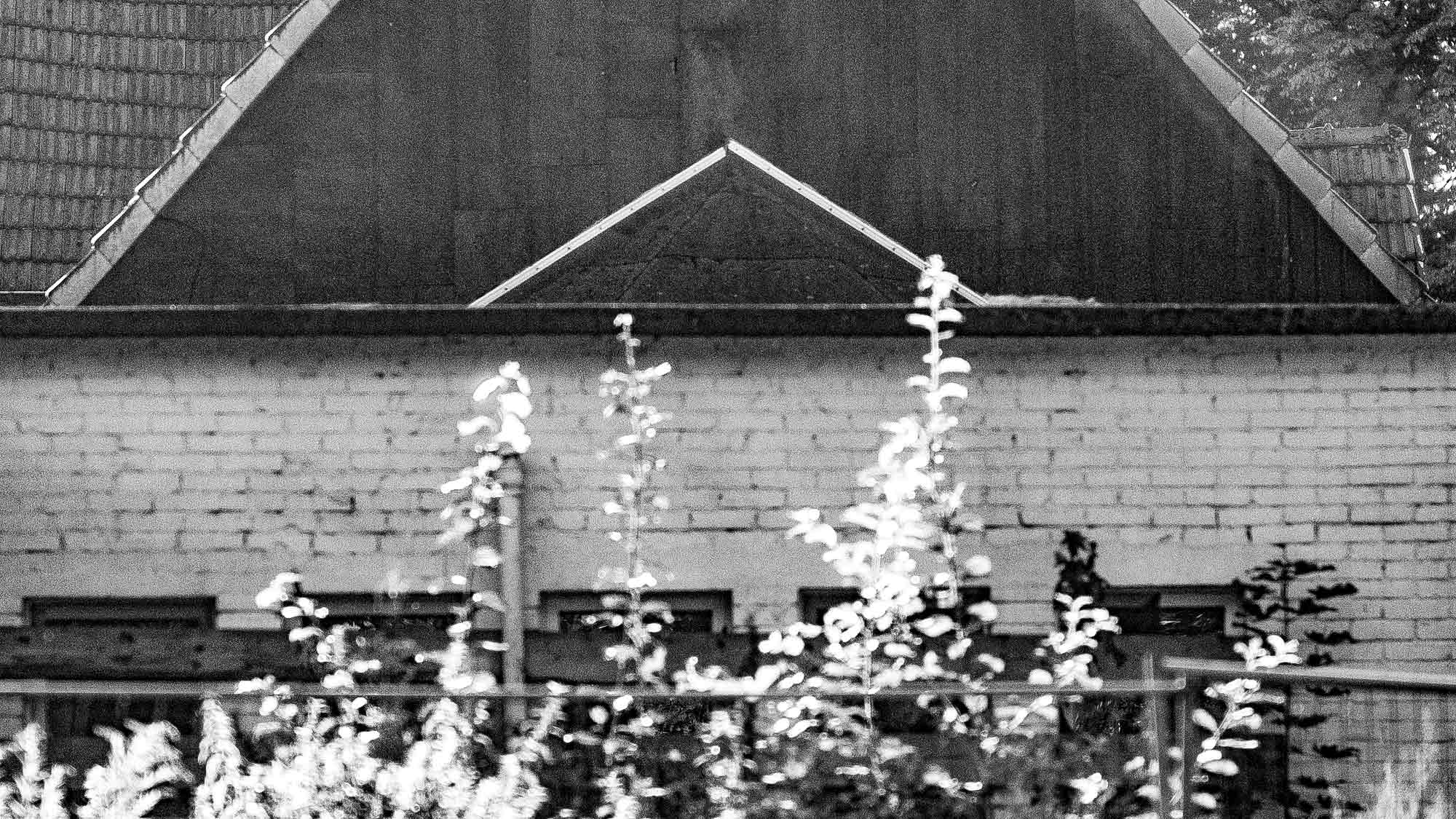 NOW Commons: Lost Place »Neue Mühle« Gütersloh … NOW Commons: Lost Place »Neue Mühle« Gütersloh …