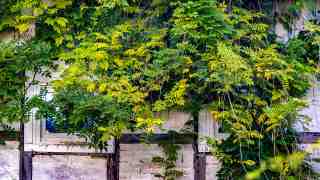 NOW Commons: Lost Place »Neue Mühle« Gütersloh …