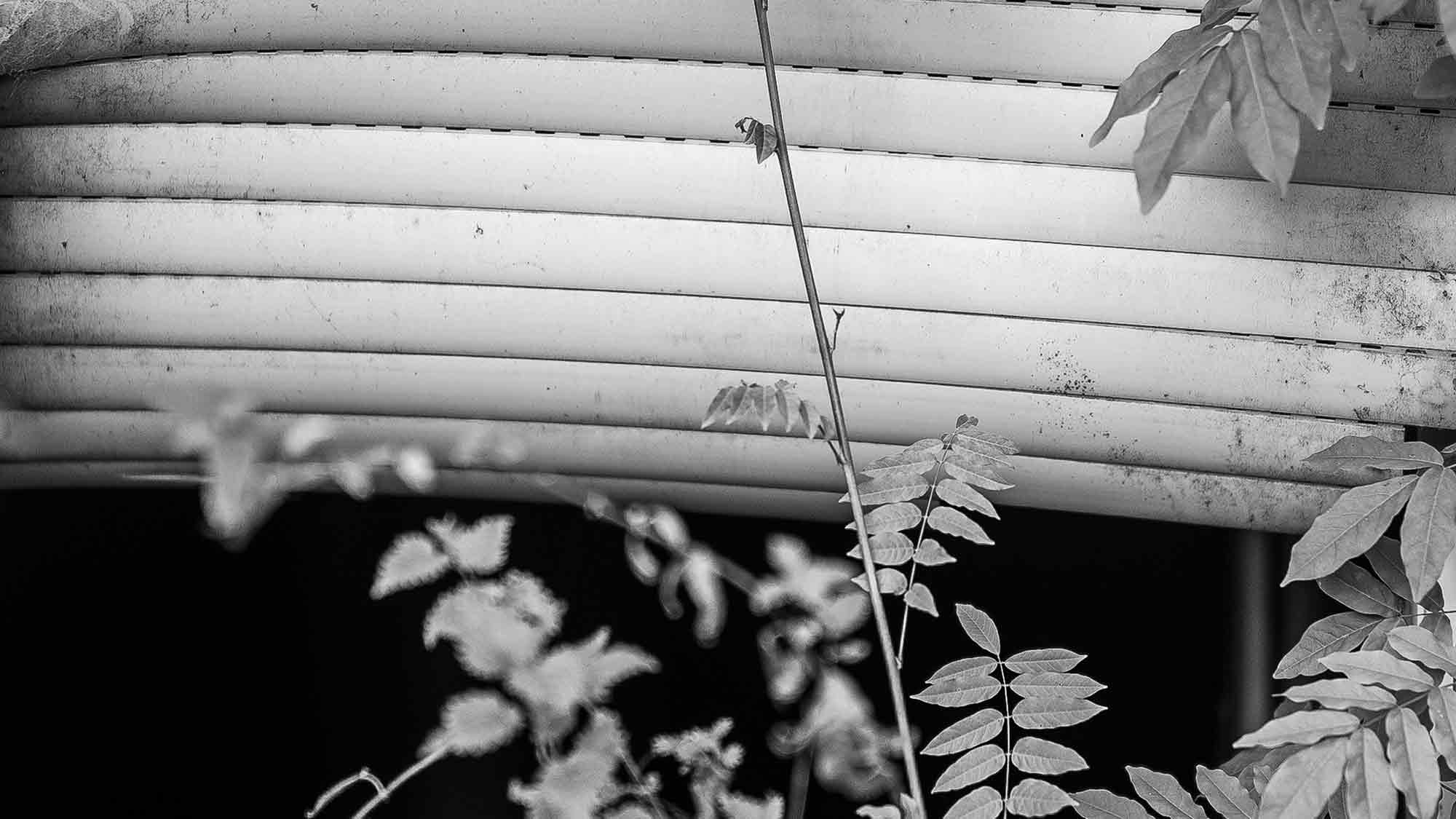 NOW Commons: Lost Place »Neue Mühle« Gütersloh … NOW Commons: Lost Place »Neue Mühle« Gütersloh …