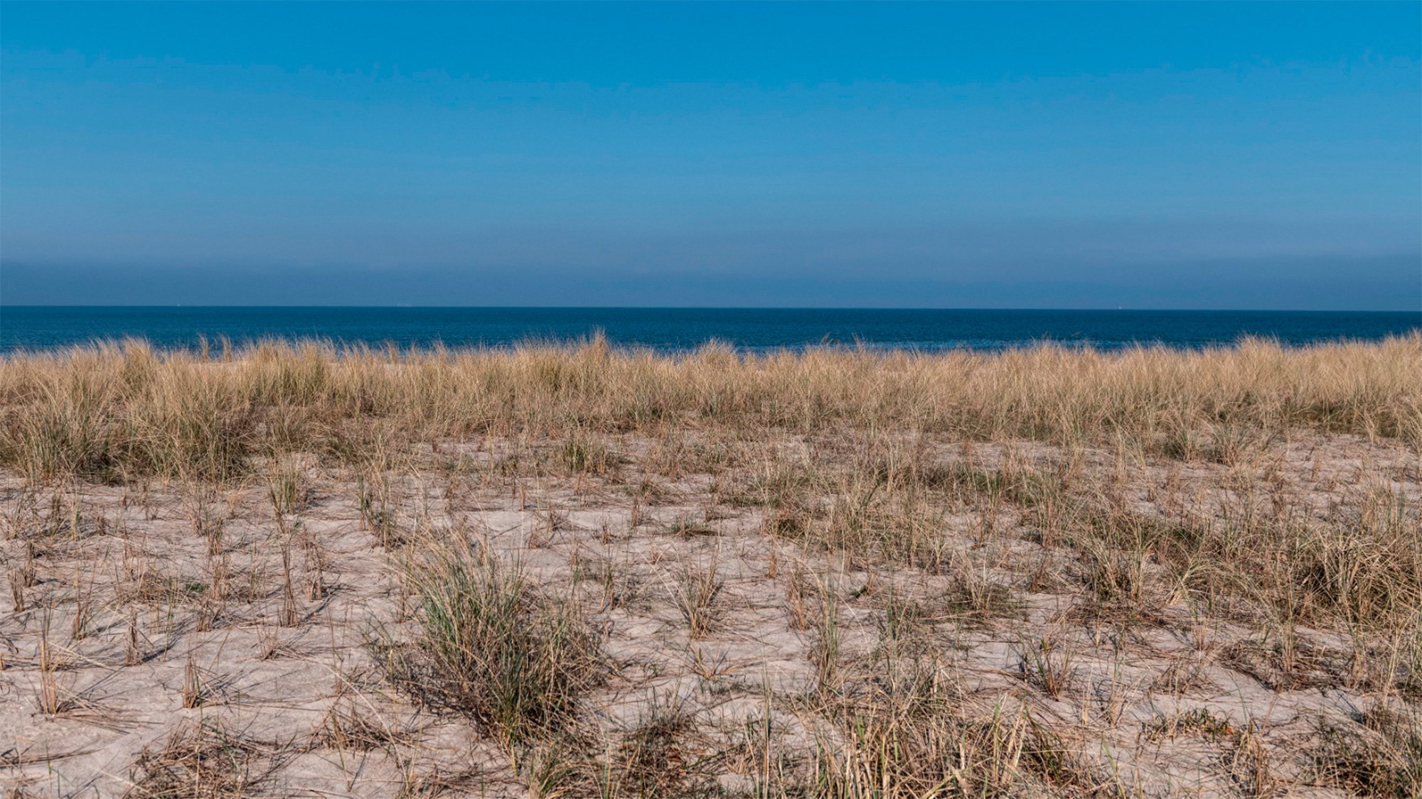 Das Literaturwochenende in Graal Müritz – 25. bis 27. September 2026 Das Literaturwochenende in Graal Müritz – 25. bis 27. September 2026