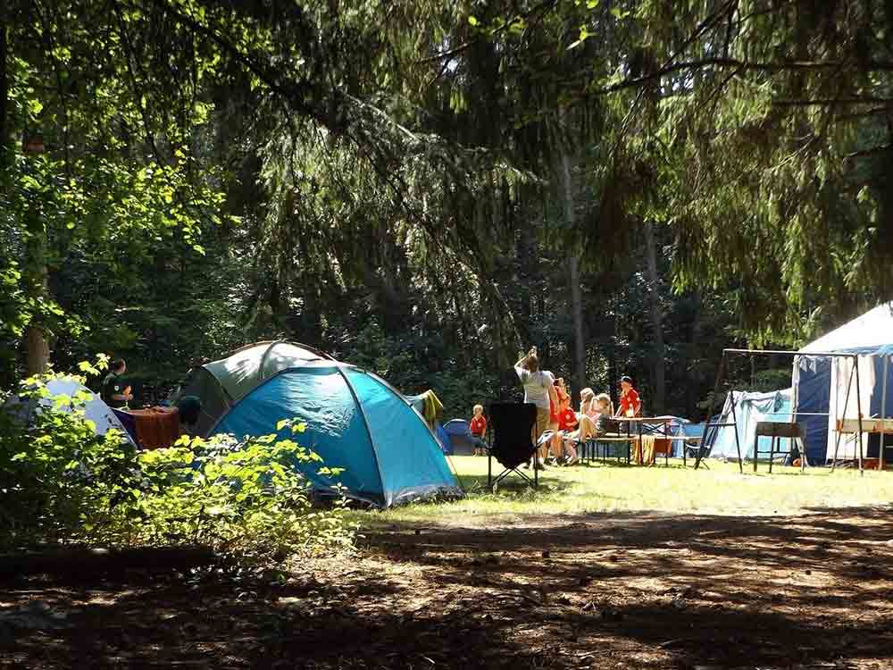 BVCD fordert einheitliche Öffnung der Camping- und Wohnmobilstellplätze