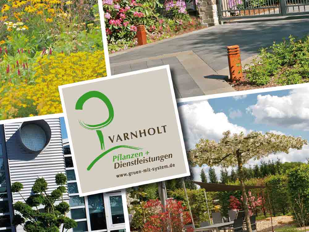 Anzeige: Gütersloher Frühling, Varnholt, Kompetenz in Sachen Pflanzen und Dienstleistungen in Gütersloh Isselhorst