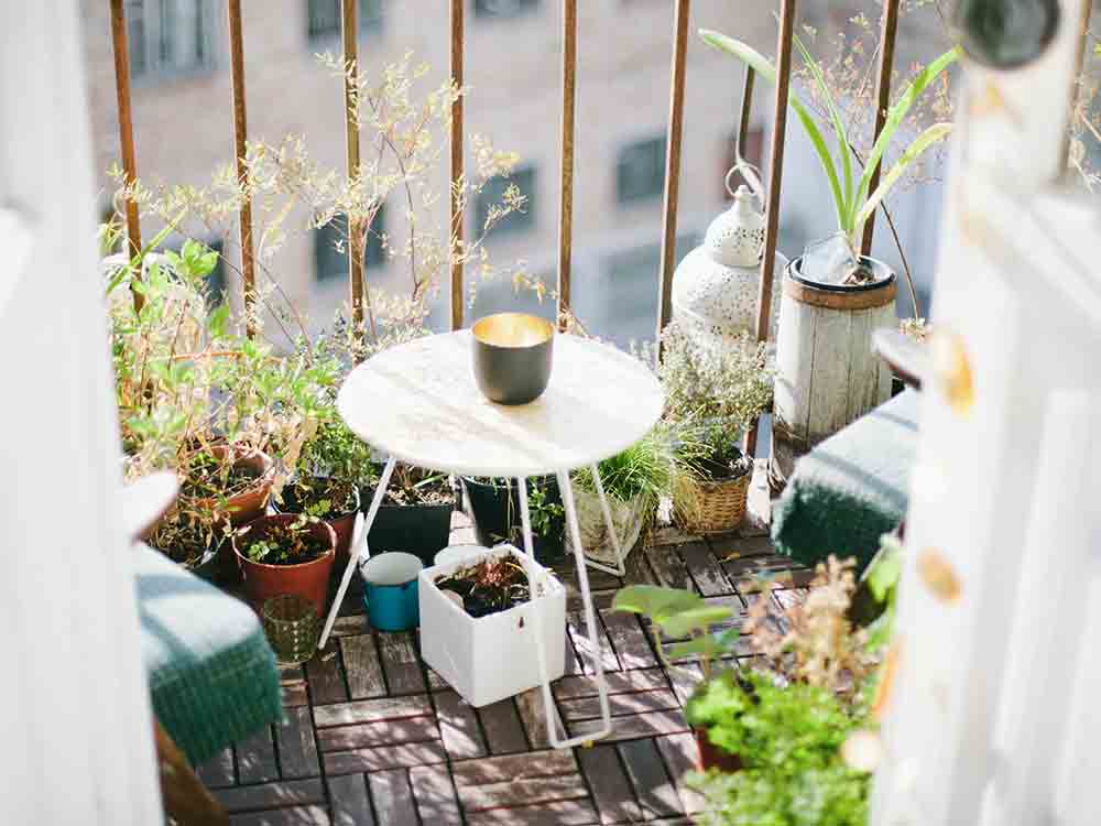 Top 8 Garden trends revealed from 1 million Pins and how to achieve them