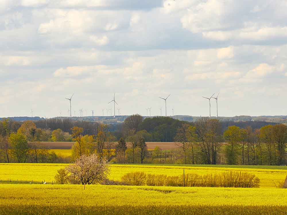 Das Münsterland wird Öko Modellregion, NRW Förderung stärkt den Ausbau des Öko Landbaus