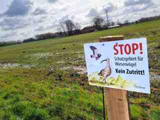 The NOW of Gütersloh