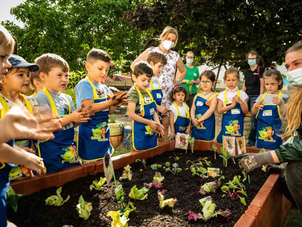 EDEKA Stiftung stärkt Ernährungskompetenz von Kindern, mit Abstand lernen, Gemüsebeete für Kids startet wieder EDEKA Stiftung stärkt Ernährungskompetenz von Kindern, mit Abstand lernen, Gemüsebeete für Kids startet wieder