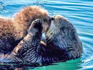 The NOW of Gütersloh