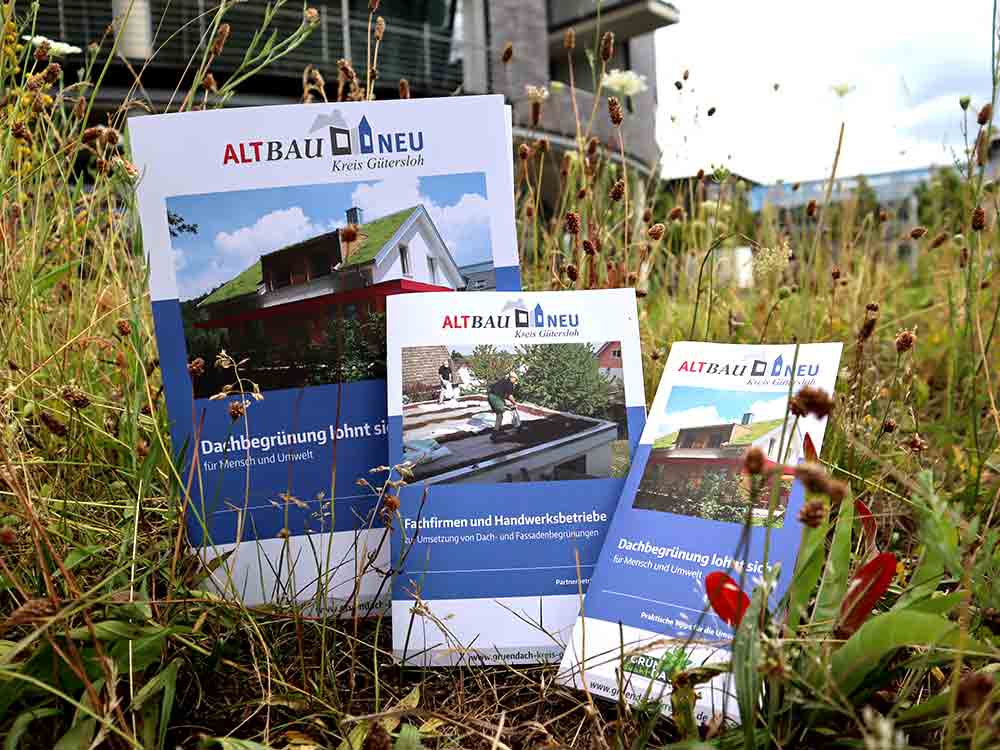 Gründach Initiative im Kreis Gütersloh, Gründächer mit Fachbetrieben nachhaltig umsetzen Gründach Initiative im Kreis Gütersloh, Gründächer mit Fachbetrieben nachhaltig umsetzen