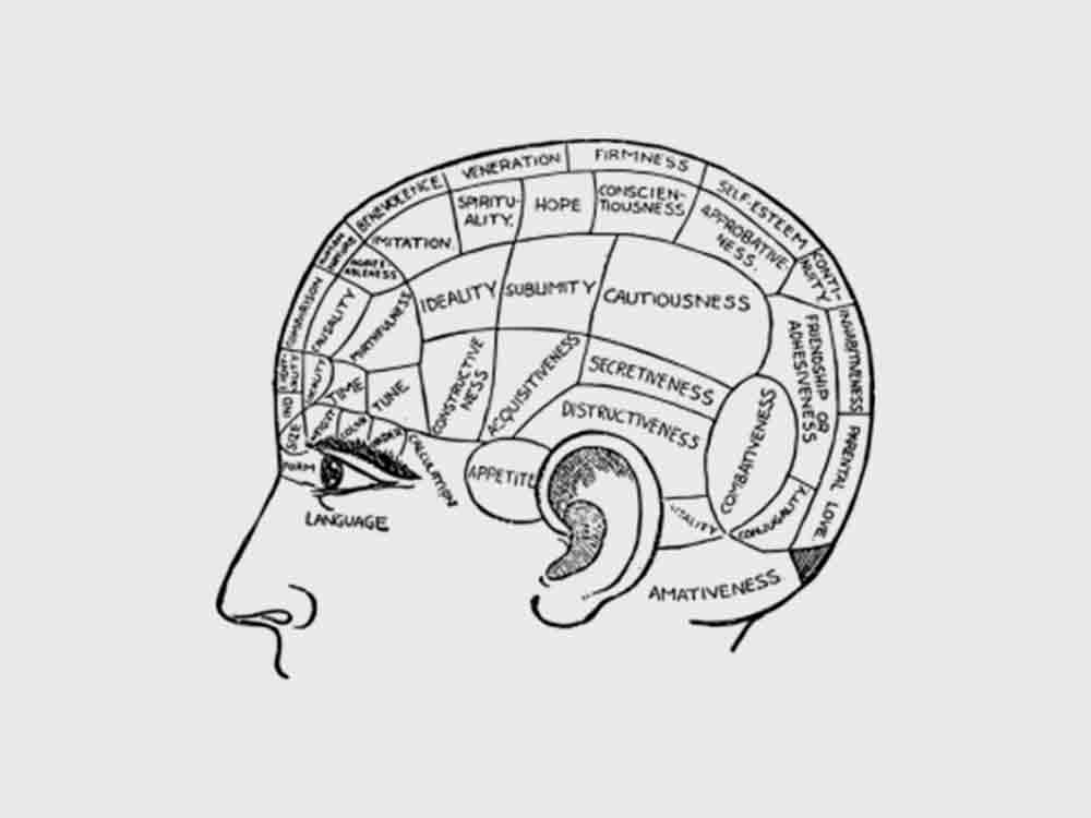 Erinnerungen lassen sich im MRT betrachten, Forscher der University of Chicago mit neuem Wissen über das Gehirn gegen das Vergessen