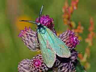 The NOW of Gütersloh