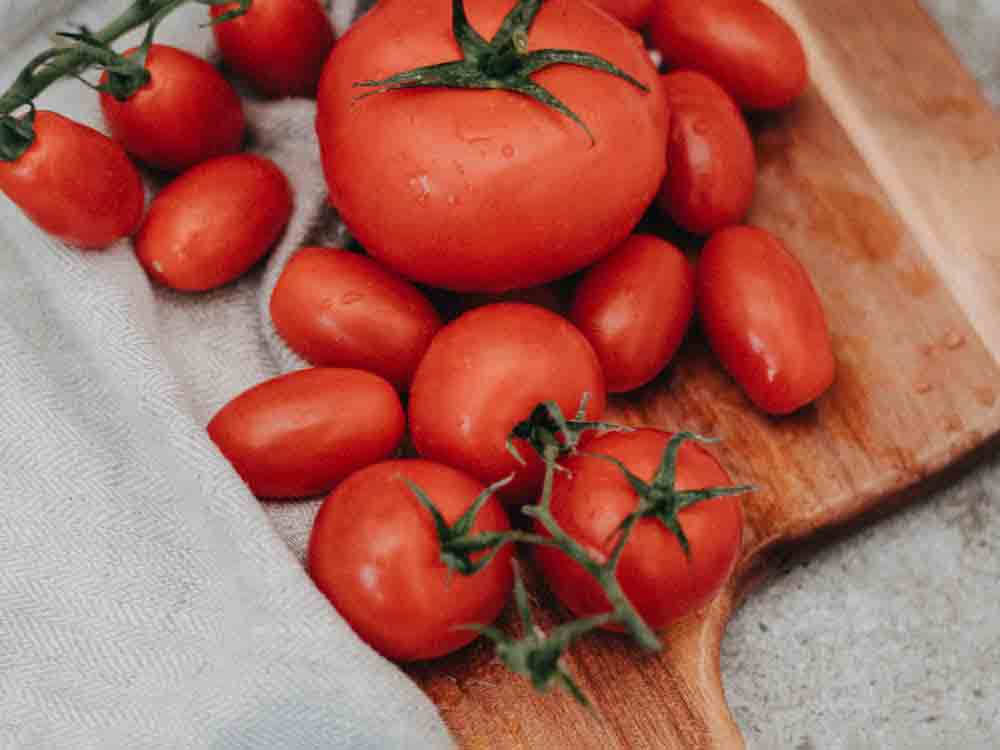 Verein Testbiotech, wie sicher ist der Tomatensalat der Zukunft? Risiken der Neuen Gentechnik für Mensch und Umwelt Verein Testbiotech, wie sicher ist der Tomatensalat der Zukunft? Risiken der Neuen Gentechnik für Mensch und Umwelt