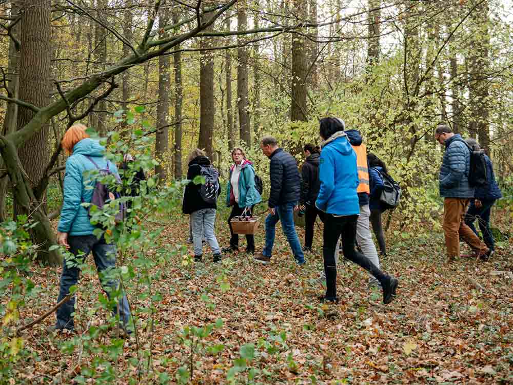 Artenakademie startet mit Pilzsuche in das Jahr, auf Winterpilz Exkursion mit dem LWL Museum für Naturkunde