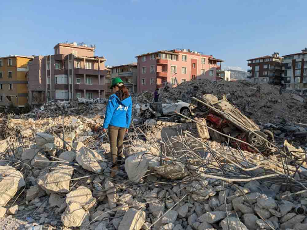 Erdbeben in der Türkei und Syrien: Internationales Peta Team rettet Tiere vor Ort