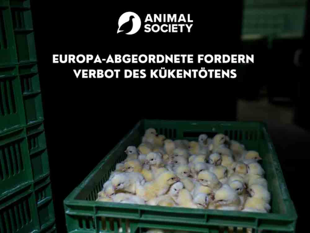 Animal Society, Kükentöten: 61 Europa Abgeordnete stellen mündliche Anfrage zu einem Verbot