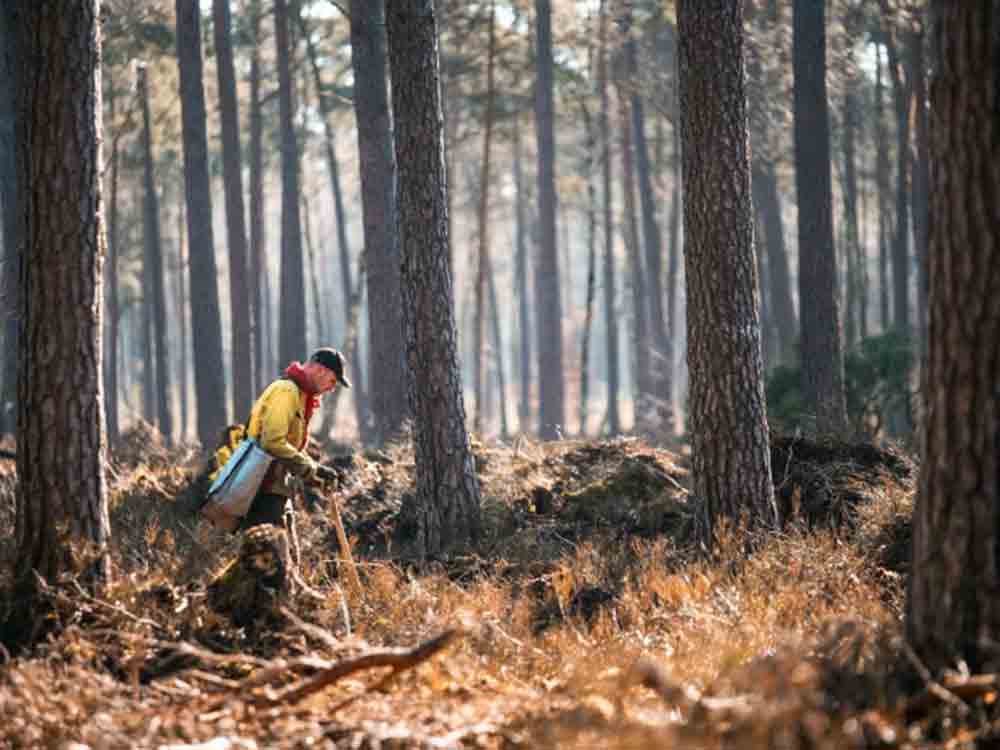 Internationaler Tag des Waldes, Lage in den Landesforsten, 21. März 2023