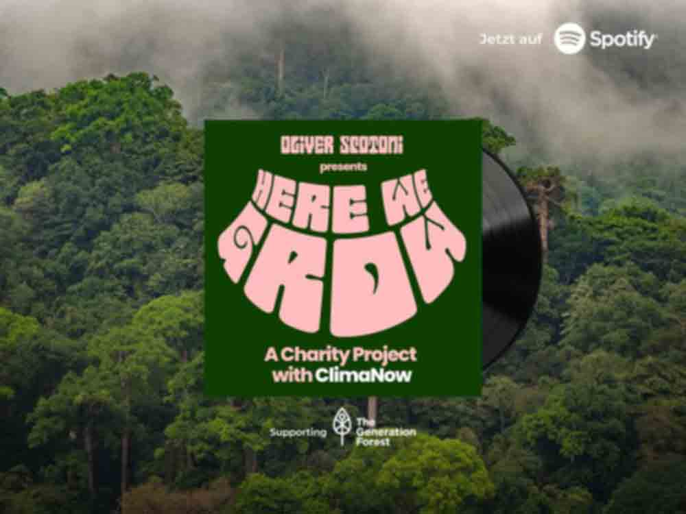 Mit Musikhören Regenwald aufforsten