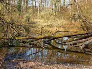 The NOW of Gütersloh
