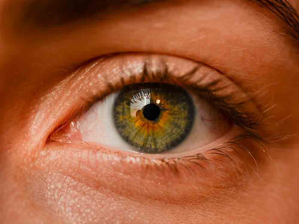 Big Brother Awards 2023 am 28. April 2023, Live in der Hechelei Bielefeld und als Livestream im Internet Big Brother Awards 2023 am 28. April 2023, Live in der Hechelei Bielefeld und als Livestream im Internet
