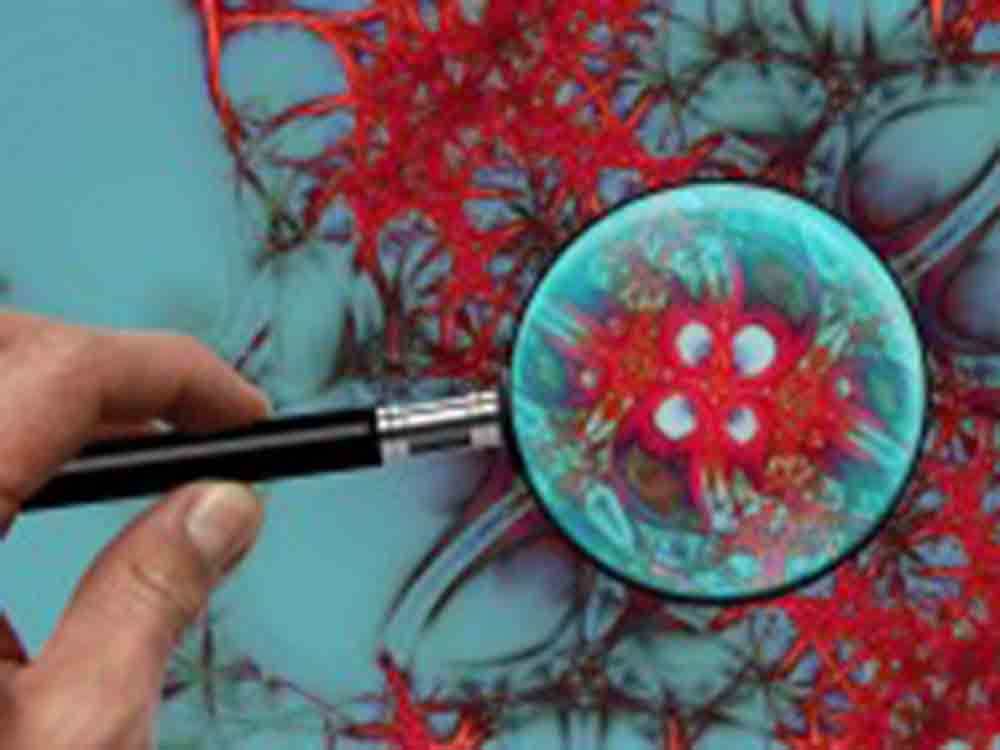 Lahme Synapsen bremsen Arbeitsgedächtnis, Störungen verhindern laut neuer Studie des Salk Institute entscheidende Anpassungen im Gehirn Lahme Synapsen bremsen Arbeitsgedächtnis, Störungen verhindern laut neuer Studie des Salk Institute entscheidende Anpassungen im Gehirn