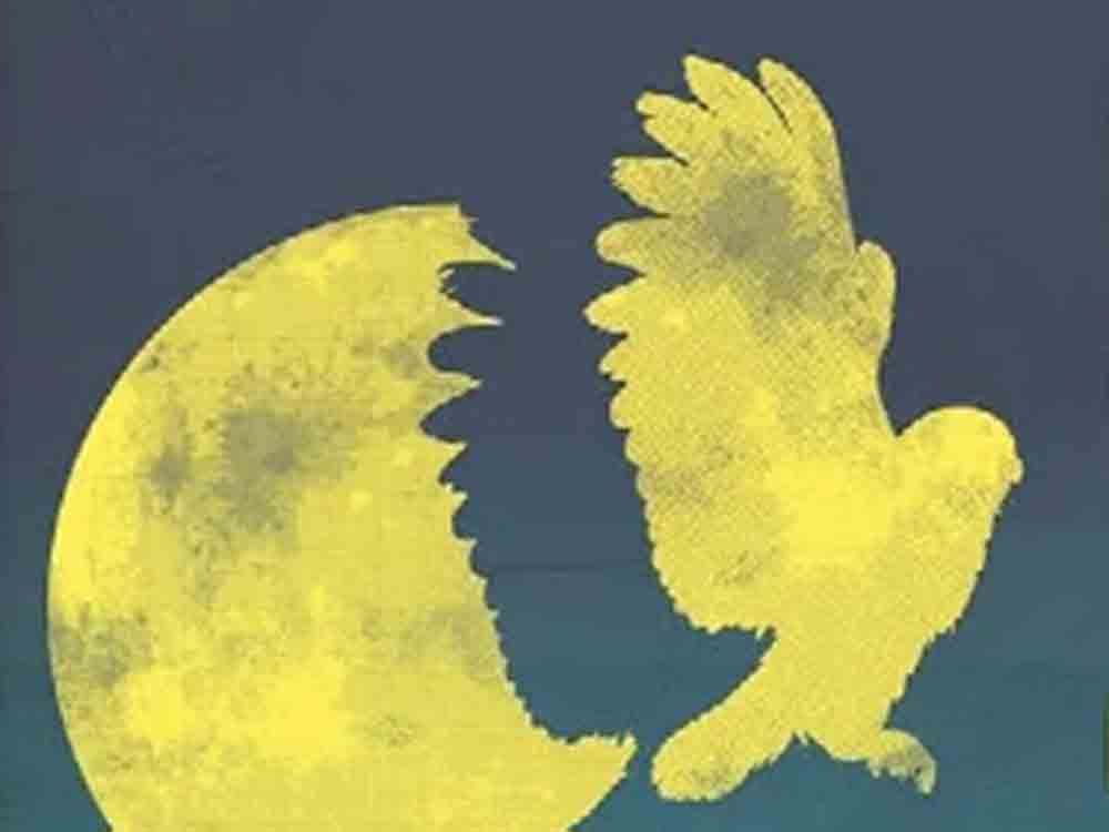 Kunsthalle Mainz, letzte Ausstellungswoche: Mainzer Museumsnacht, Abend zum Gemeinsamen Philosophieren und Öffentlicher Rundgang