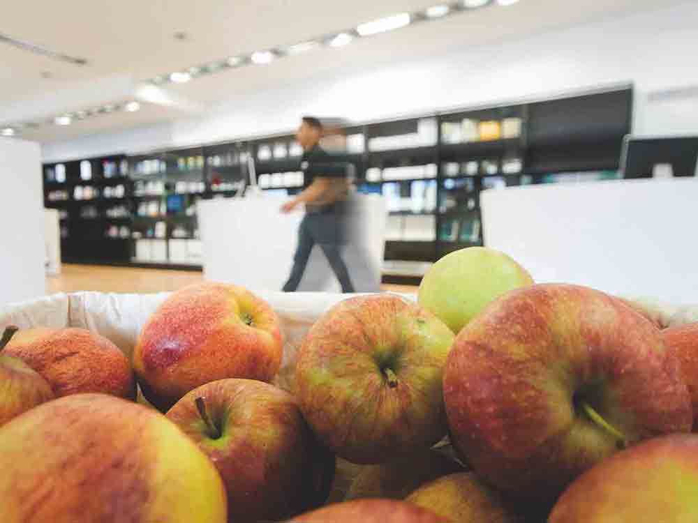 Anzeige: Apple in Gütersloh, Merlin am Kolbeplatz