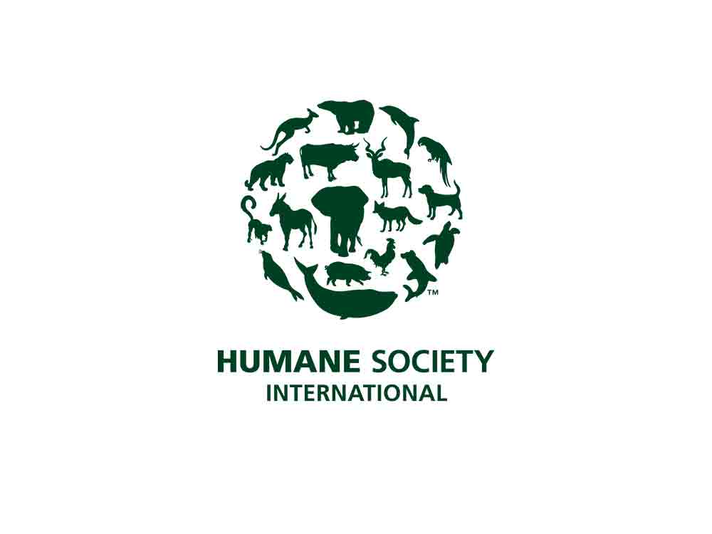 Historischer Schritt der OECD: Tierschutz in die Leitsätze für globale Unternehmen aufgenommen, Humane Society International (HSI)