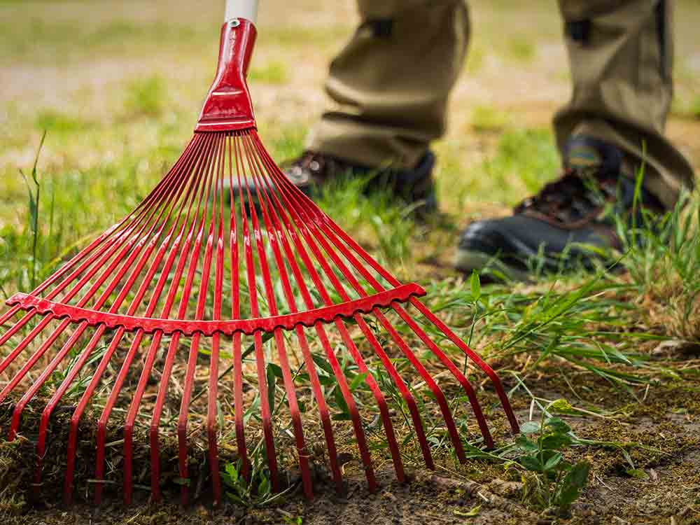 1.200 Garten und Landschaftsbauer im Kreis Gütersloh: Grüne Jobs, aber Rote Zahlen auf dem Lohnkonto 1.200 Garten und Landschaftsbauer im Kreis Gütersloh: Grüne Jobs, aber Rote Zahlen auf dem Lohnkonto
