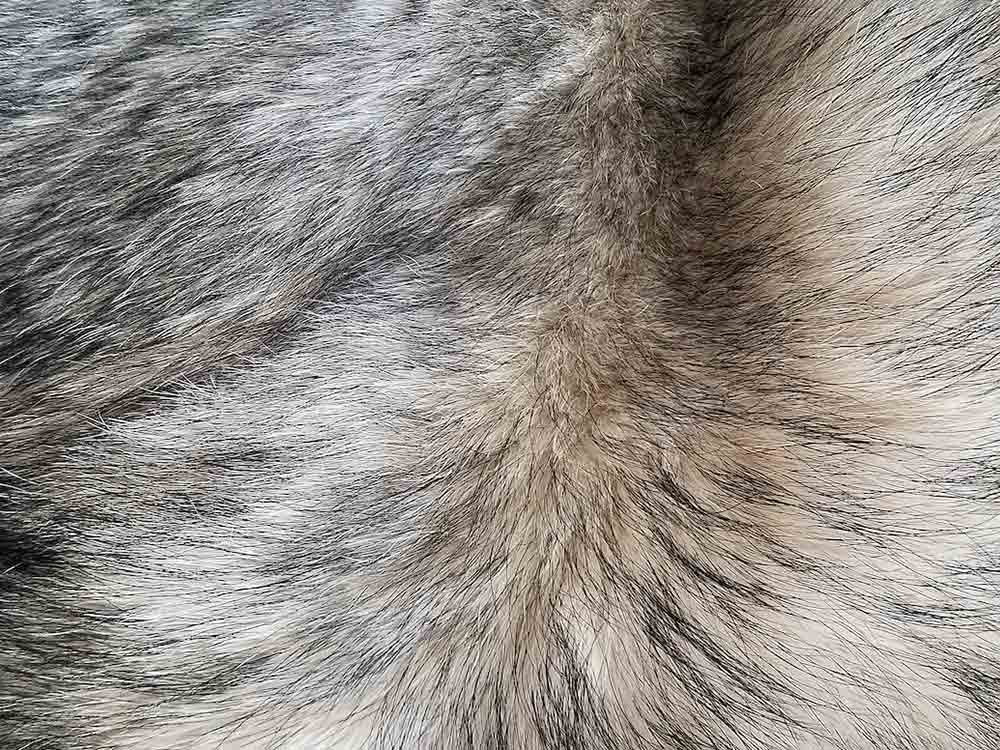 Europäische Bürgerinitiative »Fur Free Europe« reicht 1.502.319 Unterschriften bei der Europäischen Kommission ein Europäische Bürgerinitiative »Fur Free Europe« reicht 1.502.319 Unterschriften bei der Europäischen Kommission ein